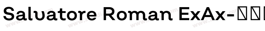 Salvatore Roman ExAx字体转换